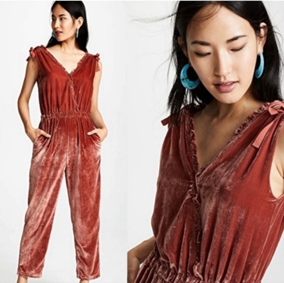 Anthropologie Pants - Anthropologie Rust Velvet Jumpsuit x Birds Of Paradise by Travota Size Medium